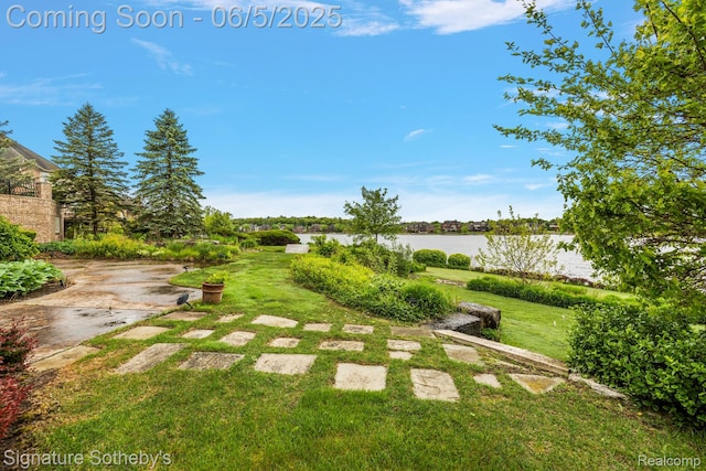 10611 Lighthouse Pt, South Lyon, MI 48178 - view of grassy yard with a water view