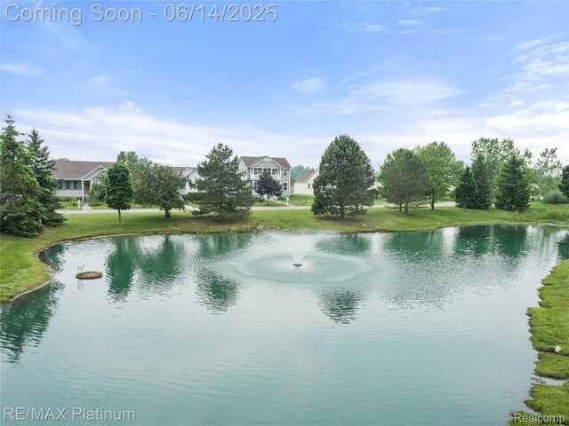 6327 Saint Charles Pass, Swartz Creek, MI 48473 - photo 42