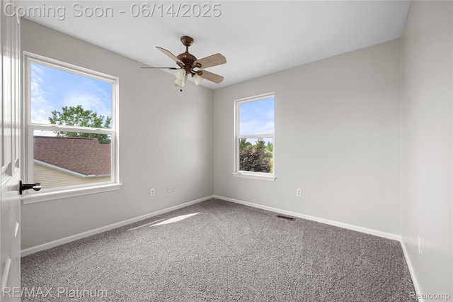 6327 Saint Charles Pass, Swartz Creek, MI 48473 - photo 20