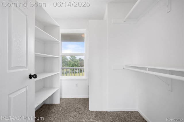 6327 Saint Charles Pass, Swartz Creek, MI 48473 - photo 29