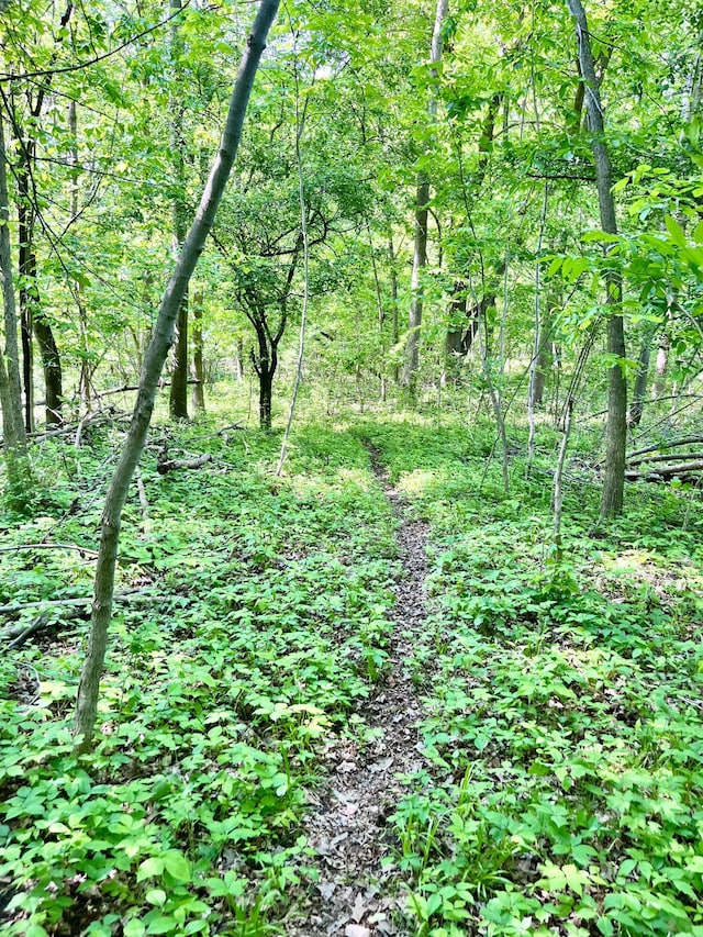 22649 N Dixboro Rd, South Lyon, MI 48178 - view of wooded area