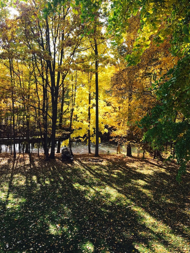 22649 N Dixboro Rd, South Lyon, MI 48178 - view of yard