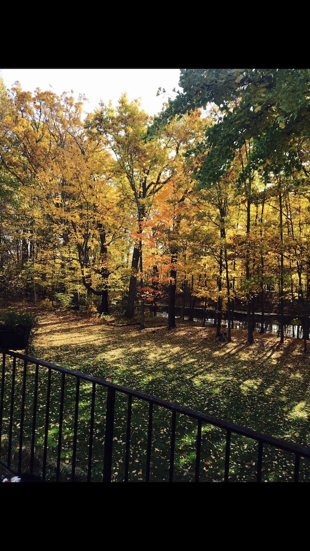 22649 N Dixboro Rd, South Lyon, MI 48178 - view of yard