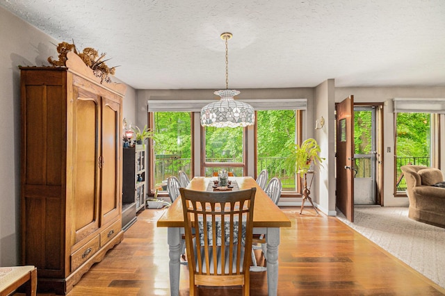 22649 N Dixboro Rd, South Lyon, MI 48178 - dining area with light wood-style floors, a textured ceiling, and a chandelier