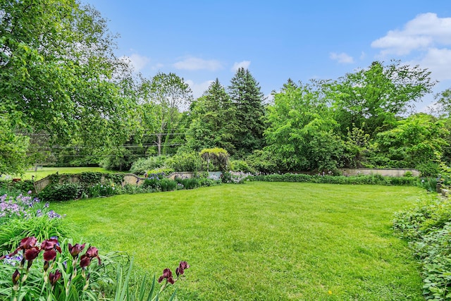 22649 N Dixboro Rd, South Lyon, MI 48178 - view of grassy yard
