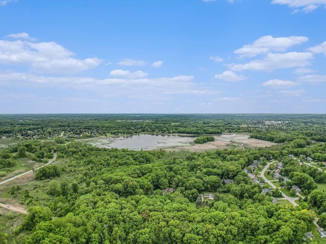 22649 N Dixboro Rd, South Lyon, MI 48178 - drone / aerial view of a heavily wooded area and a nearby body of water