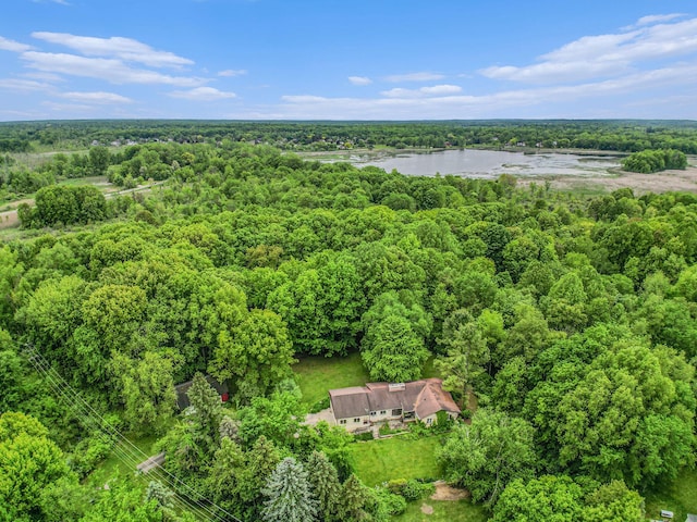 22649 N Dixboro Rd, South Lyon, MI 48178 - view of subject property with a forest and a nearby body of water