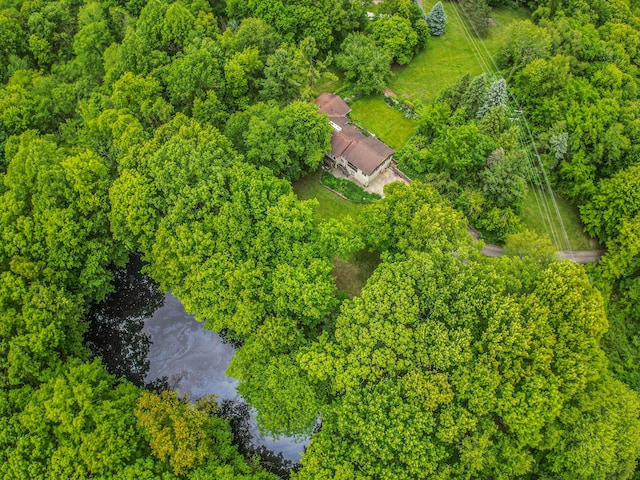 22649 N Dixboro Rd, South Lyon, MI 48178 - drone / aerial view