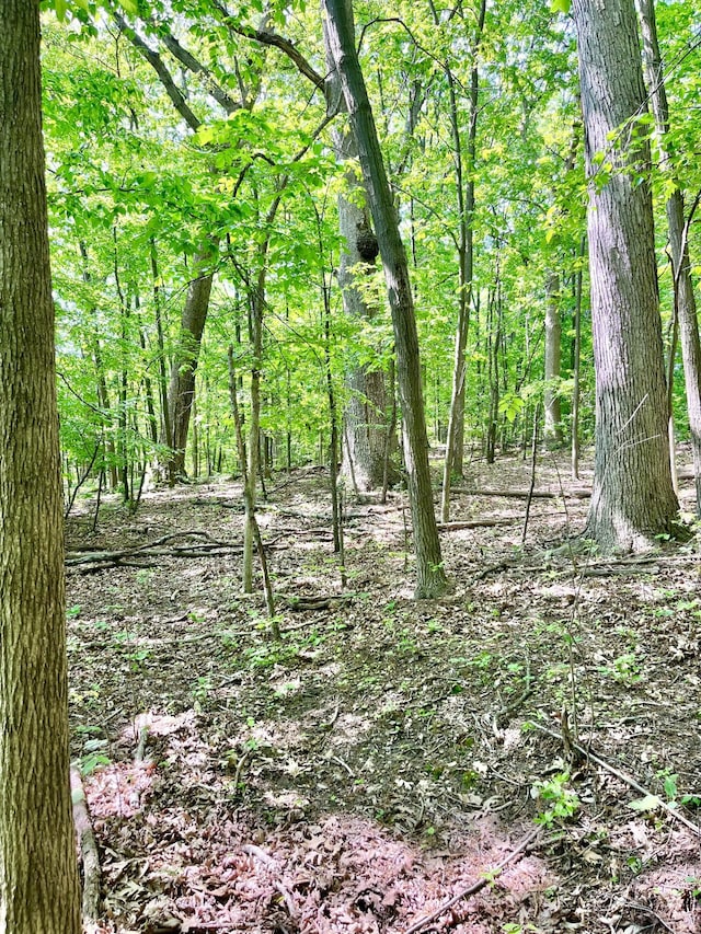 22649 N Dixboro Rd, South Lyon, MI 48178 - view of tree filled area