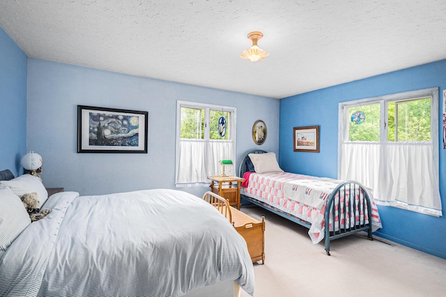 22649 N Dixboro Rd, South Lyon, MI 48178 - carpeted bedroom with a textured ceiling