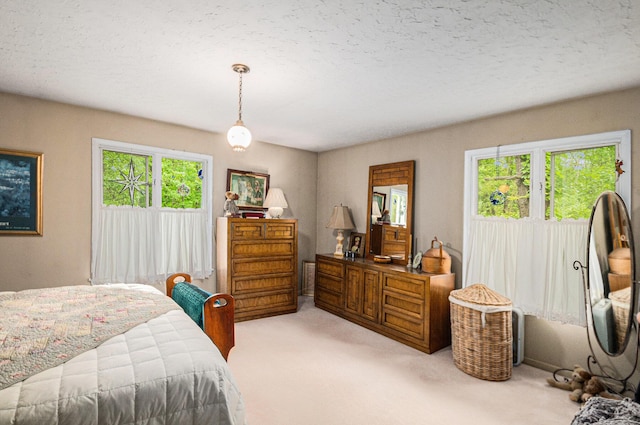 22649 N Dixboro Rd, South Lyon, MI 48178 - bedroom with multiple windows, light carpet, and a textured ceiling