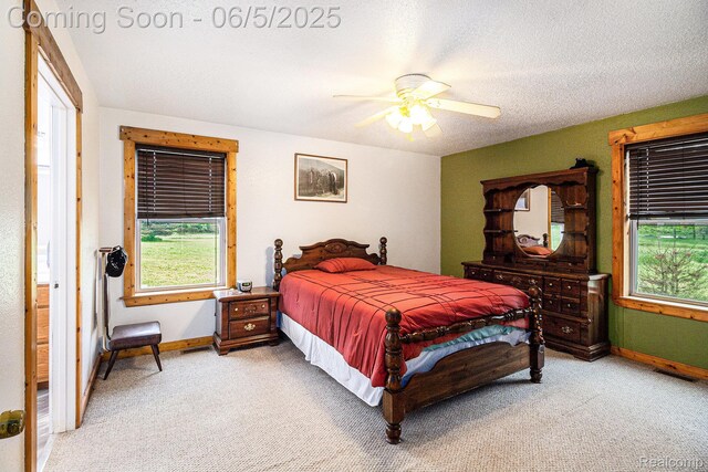 3275 Levalley Rd, Columbiaville, MI 48421 - bedroom with light colored carpet, multiple windows, and baseboards