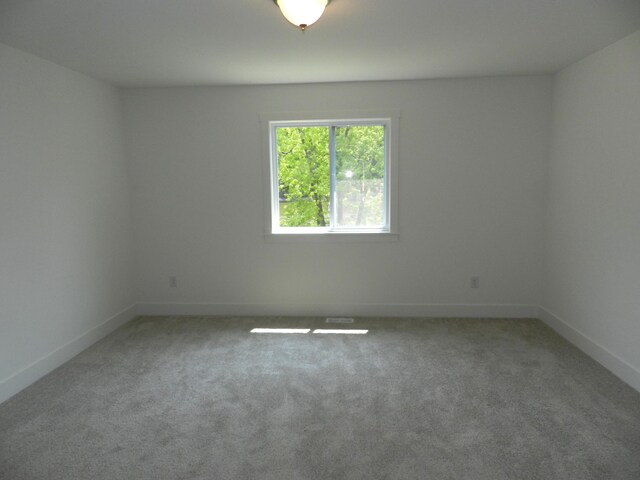 558 Swan River Dr, Benton Harbor, MI 49022 - photo 10