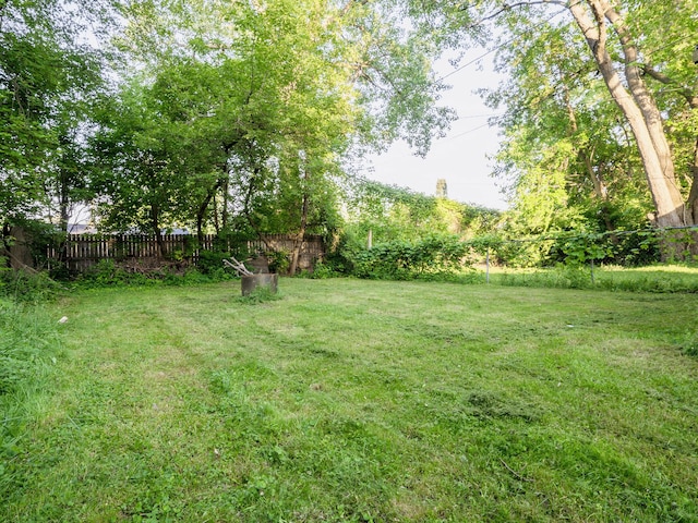18350 Codding St, Detroit, MI 48219 - view of yard