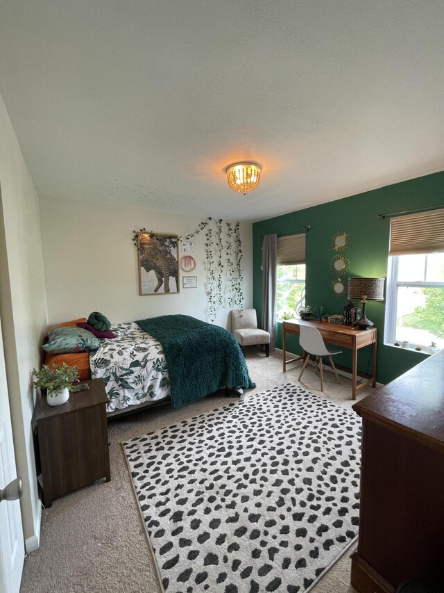 8808 Geiser Grv, Richland, MI 49083 - bedroom with carpet floors