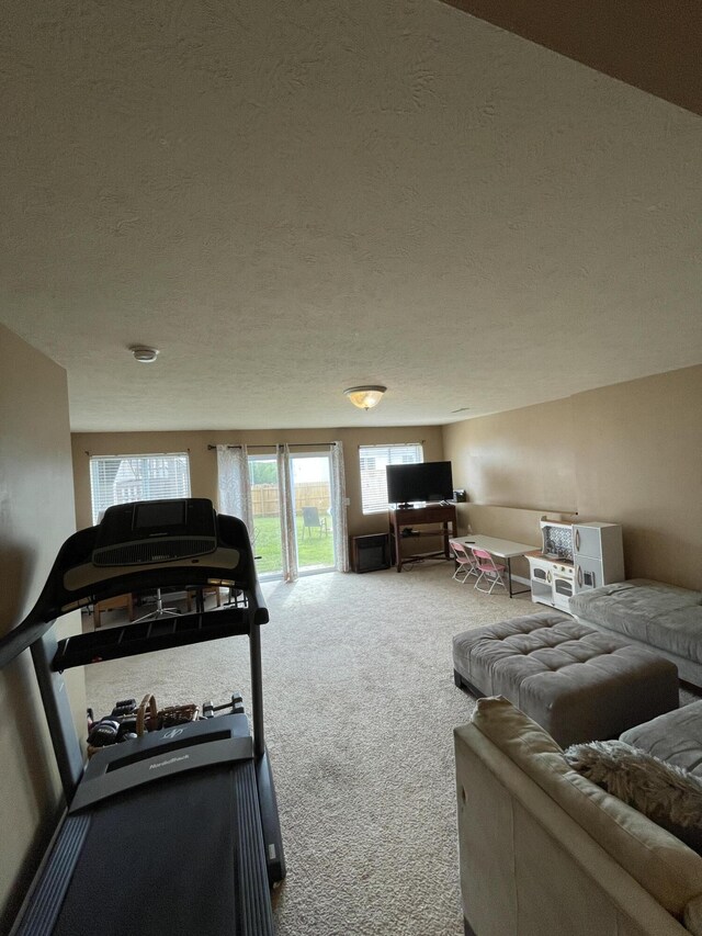 8808 Geiser Grv, Richland, MI 49083 - carpeted living area with a textured ceiling