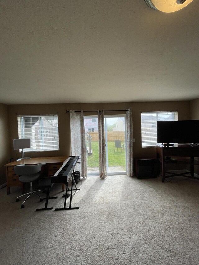 8808 Geiser Grv, Richland, MI 49083 - office area featuring plenty of natural light and carpet floors