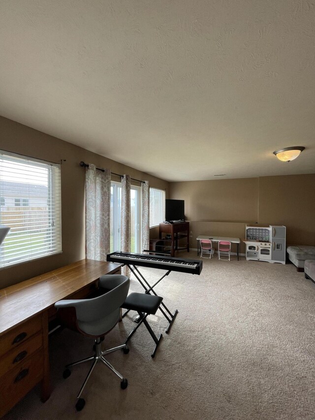 8808 Geiser Grv, Richland, MI 49083 - office with carpet floors and a textured ceiling