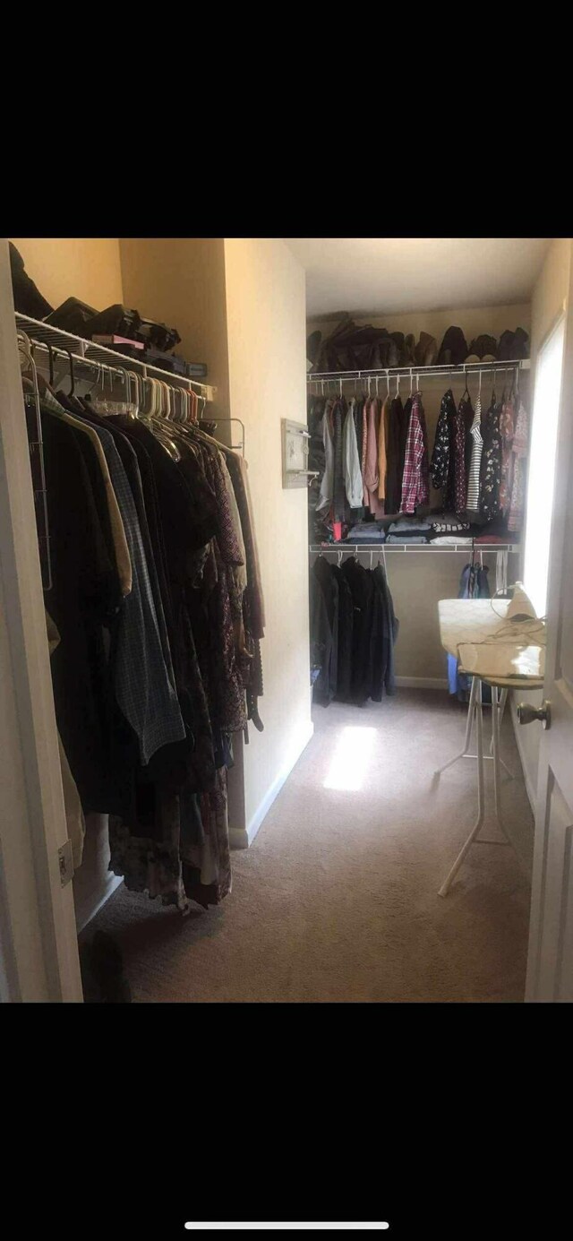 8808 Geiser Grv, Richland, MI 49083 - spacious closet with carpet floors