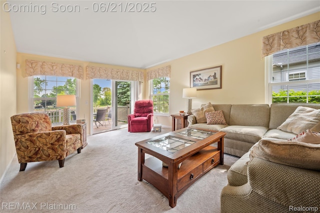 2336 Swans Cv Unit 7, Fenton, MI 48430 - living area featuring light carpet and plenty of natural light