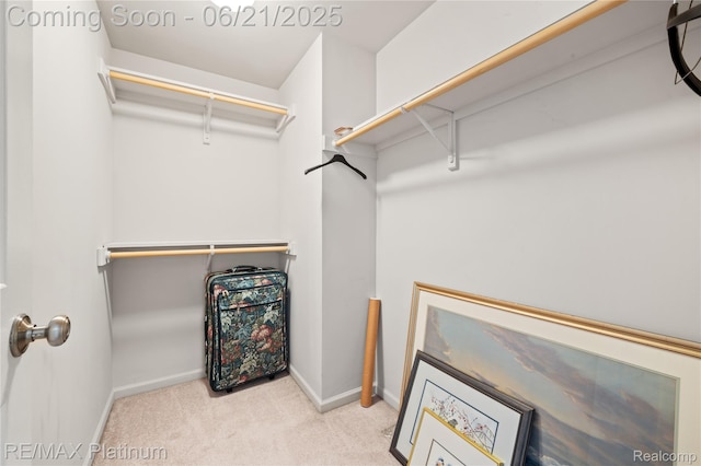 2336 Swans Cv Unit 7, Fenton, MI 48430 - walk in closet with carpet flooring