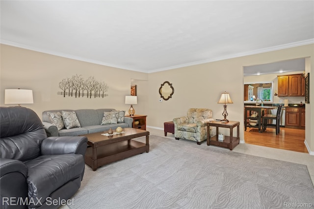 2391 Atwell Rd, Attica, MI 48412 - living room featuring ornamental molding, light colored carpet, and baseboards
