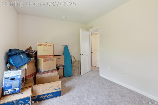 9211 Hawthorn Dr, Davison, MI 48423 - view of storage