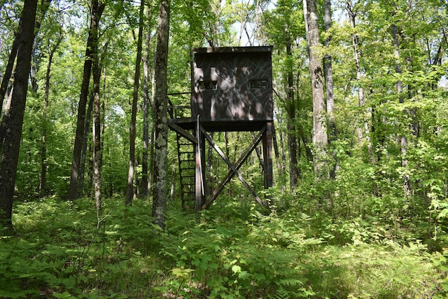 2186 88th St, Bitely, MI 49309 - view of outdoor structure with a view of trees