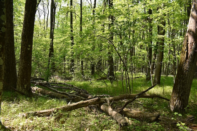 2186 88th St, Bitely, MI 49309 - view of tree filled area