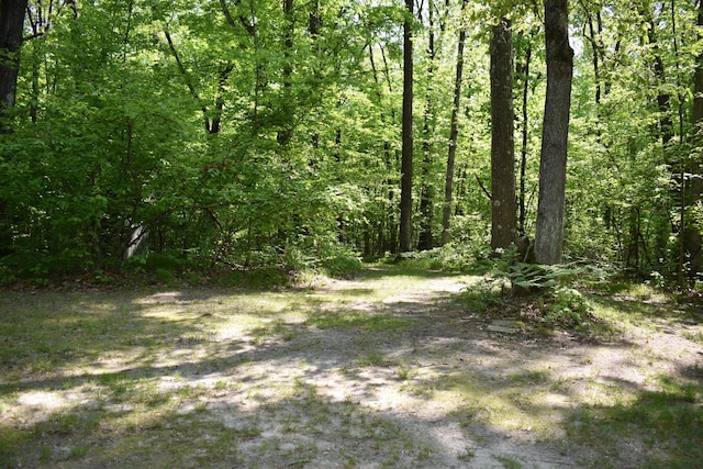 2186 88th St, Bitely, MI 49309 - view of woods