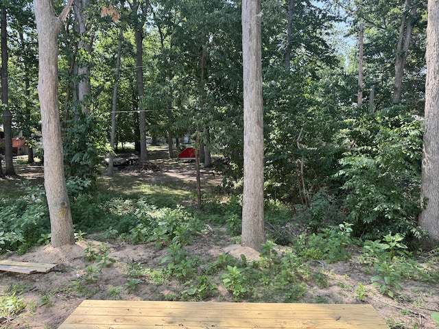 44 Manley Ave, Holland, MI 49424 - photo 13