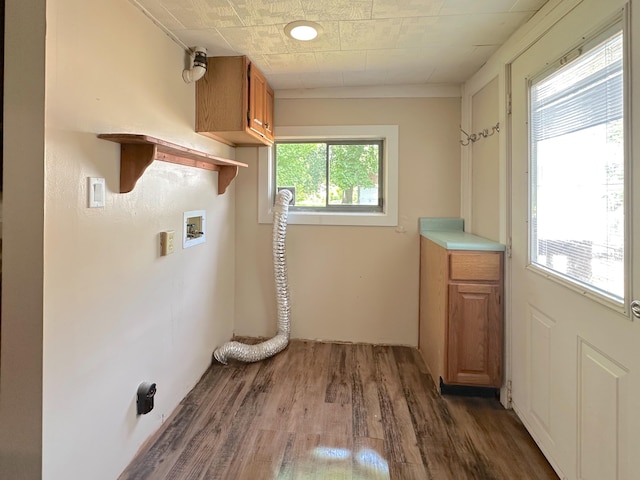 315 E Spruce St, Marshall, MI 49068 - washroom with cabinet space, dark wood finished floors, and hookup for a washing machine