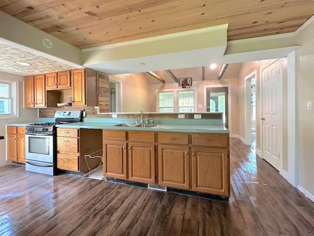 315 E Spruce St, Marshall, MI 49068 - kitchen featuring stainless steel range with gas cooktop, a sink, dark wood-type flooring, light countertops, and wood ceiling