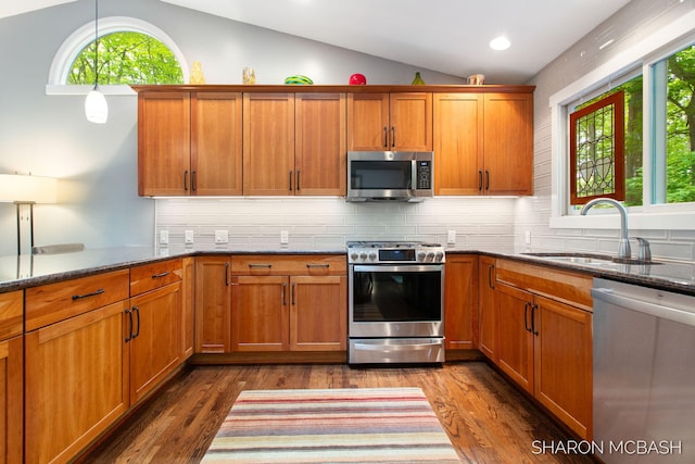 3348 Clearview Ln, Saugatuck, MI 49453 - kitchen with appliances with stainless steel finishes, a sink, vaulted ceiling, healthy amount of natural light, and dark wood-type flooring