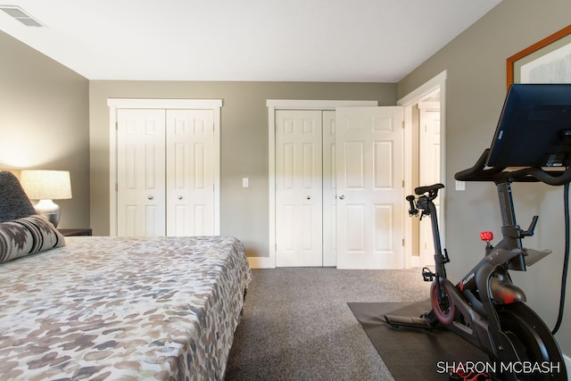 3348 Clearview Ln, Saugatuck, MI 49453 - bedroom featuring multiple closets and carpet flooring