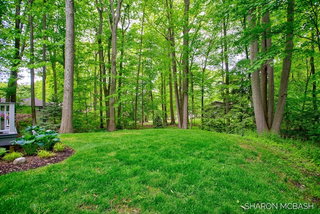 3348 Clearview Ln, Saugatuck, MI 49453 - view of grassy yard
