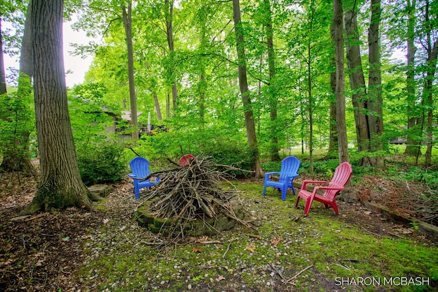 3348 Clearview Ln, Saugatuck, MI 49453 - view of yard