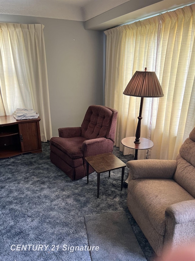 1613 Waldman Ave, Flint, MI 48507 - sitting room with carpet