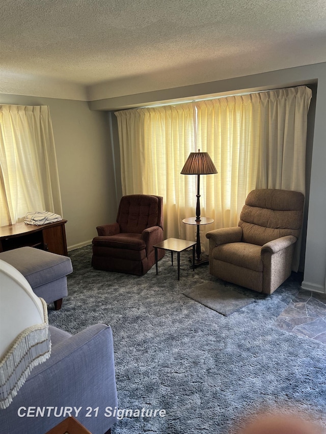 1613 Waldman Ave, Flint, MI 48507 - living area with carpet, a textured ceiling, and baseboards