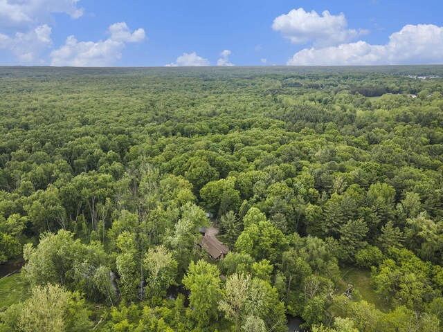 731 13 Mile Rd NW, Sparta, MI 49345 - bird's eye view of a forest