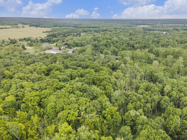 731 13 Mile Rd NW, Sparta, MI 49345 - aerial view of a heavily wooded area