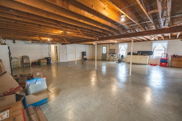 14656 Hersey Rd, Hersey, MI 49639 - view of below grade area