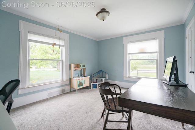 571 N Baldwin Rd, Oxford, MI 48371 - photo 15