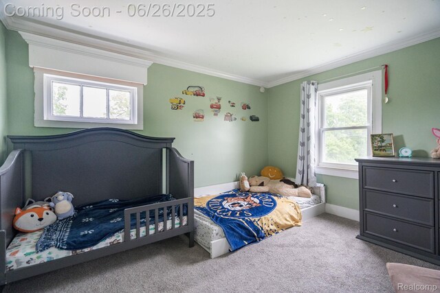 571 N Baldwin Rd, Oxford, MI 48371 - photo 20