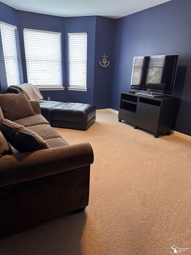 2446 8th St, Wyandotte, MI 48192 - living area featuring carpet and baseboards
