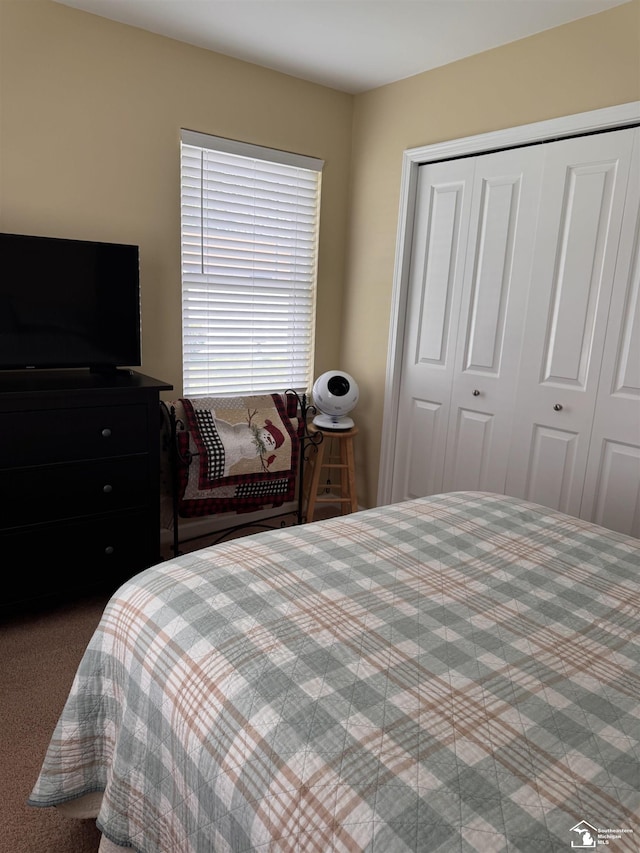 2446 8th St, Wyandotte, MI 48192 - bedroom with a closet and carpet floors