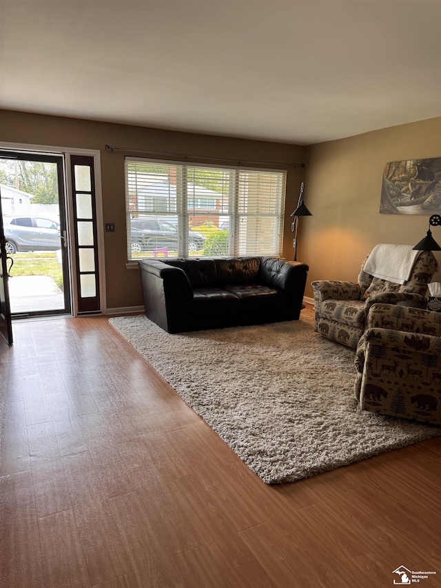 2446 8th St, Wyandotte, MI 48192 - living area with plenty of natural light, wood finished floors, and baseboards