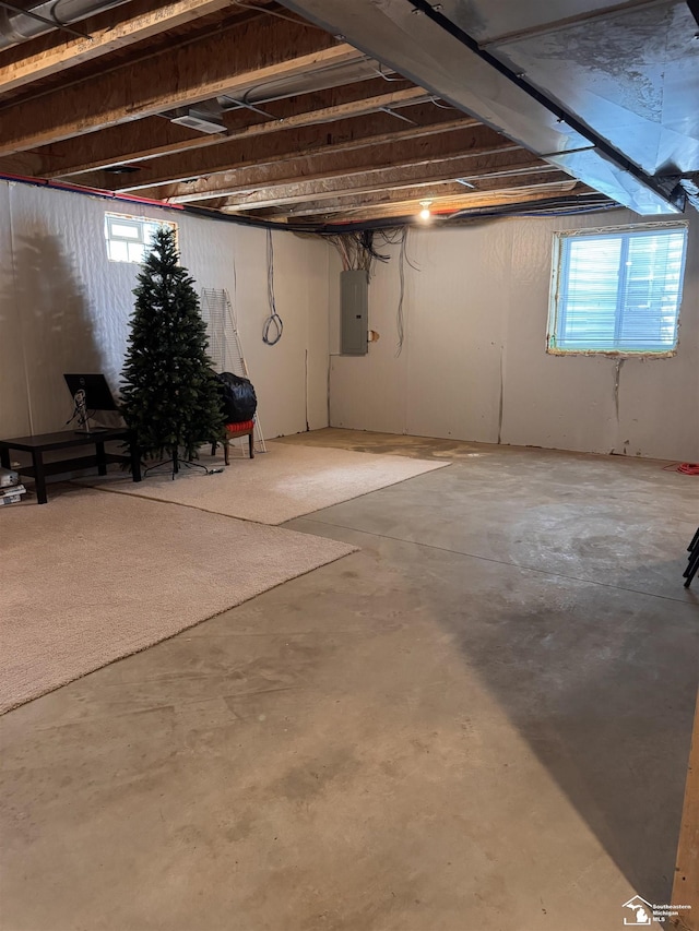2446 8th St, Wyandotte, MI 48192 - basement with electric panel