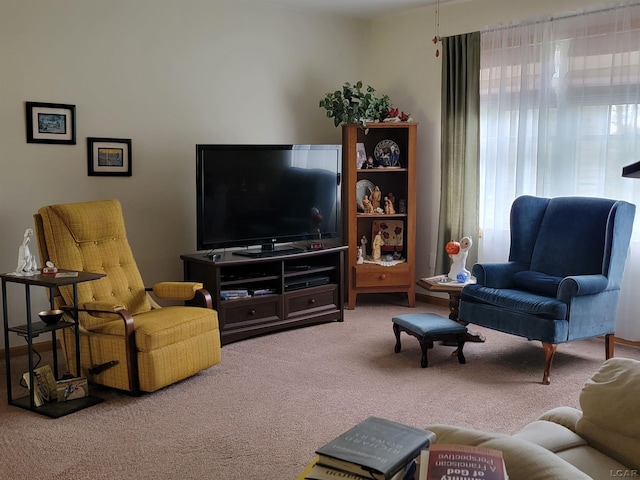 1577 Benner Hwy, Clayton, MI 49235 - view of carpeted living room