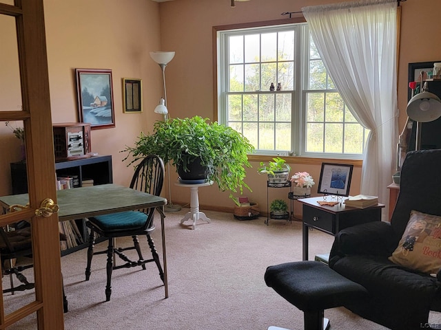 1577 Benner Hwy, Clayton, MI 49235 - office area featuring carpet flooring